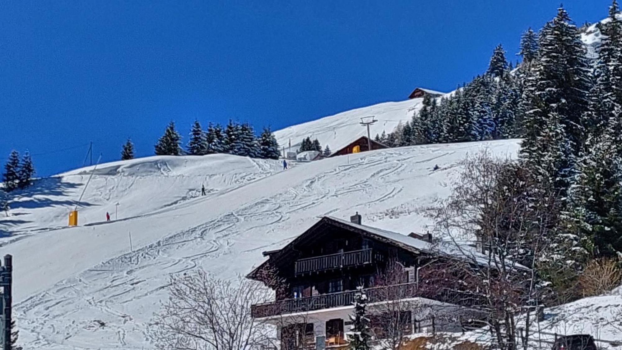 Alpage Immo Location Service