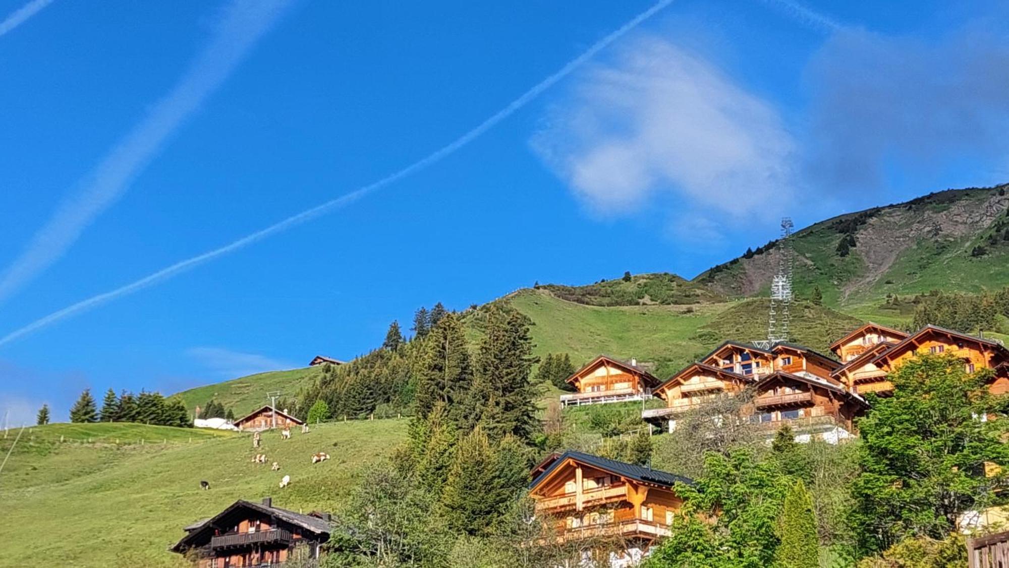Alpage Immo Location Service