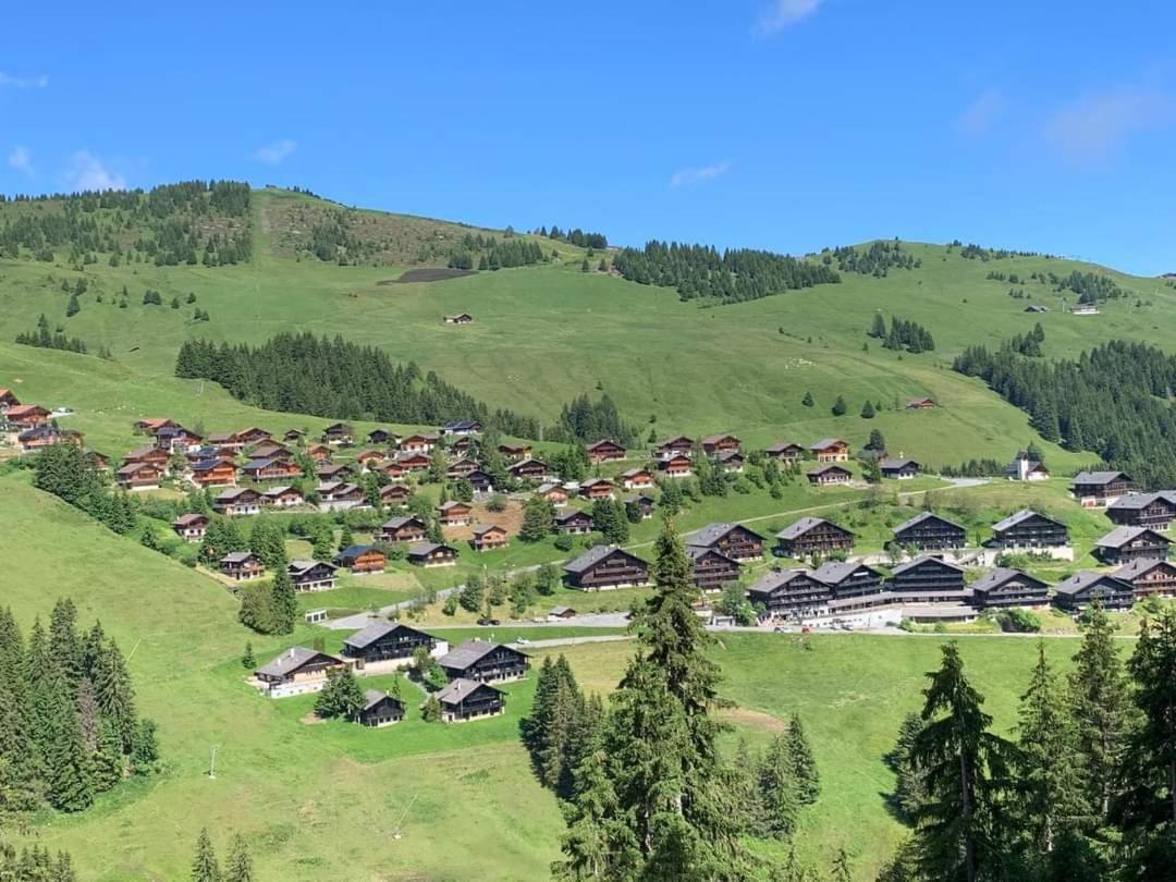 Apartment Alpage Immo Location Service *
